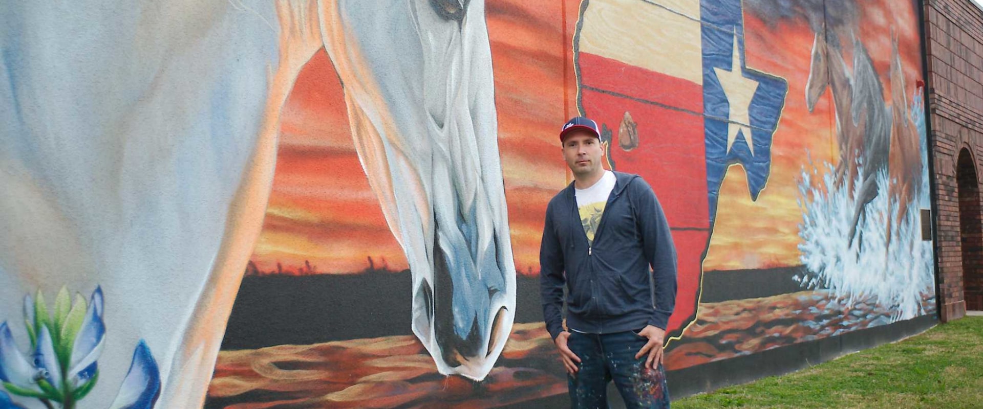 What techniques are used to create murals and graffiti in harris county?
